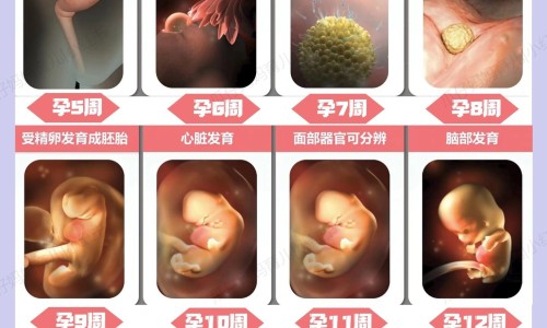 渭南华大医院好不好网 | 渭南华仁医院最新消息新闻报道,渭南华仁医院是公立还是私立