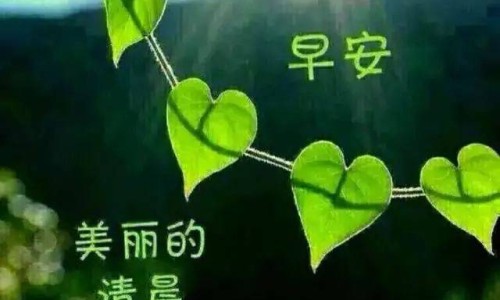 渭南华仁医院是公立还是私立-渭南华大医院好不好网 | 渭南华仁医院最新消息新闻报道,渭南华仁医院是公立还是私立