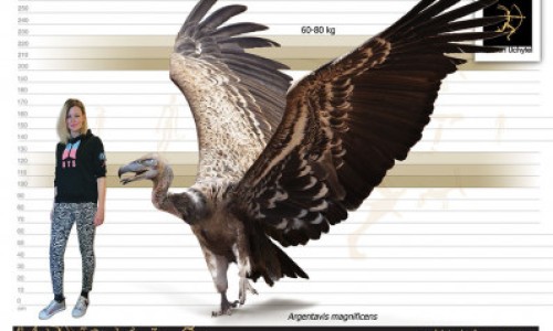 渭南华大医院好不好网 | 渭南华仁医院最新消息新闻报道,渭南华仁医院是公立还是私立